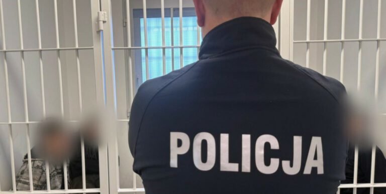 Awantura o kukurydzę w powiecie śremskim. Sześciu zatrzymanych