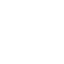 pin icon